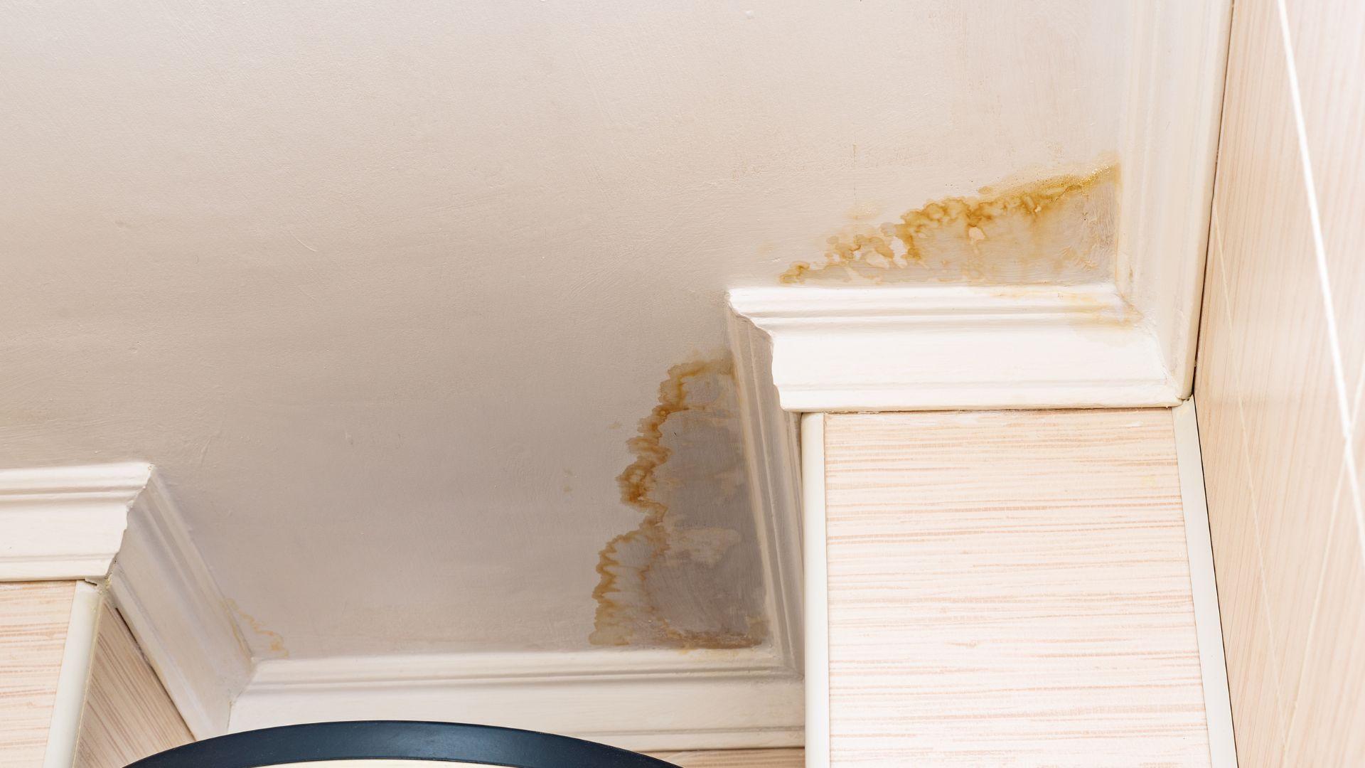 Water stain on a ceiling