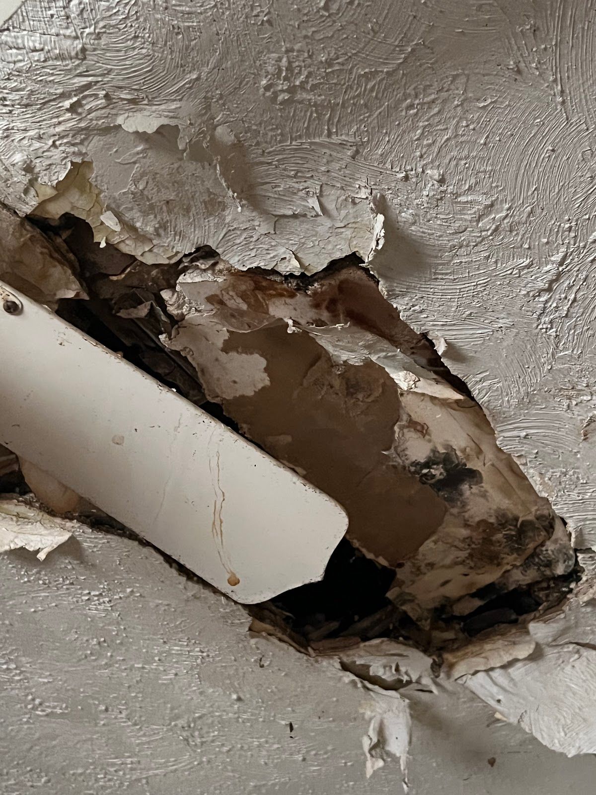 Collapsed ceiling drywall exposing water-stained and moldy framing