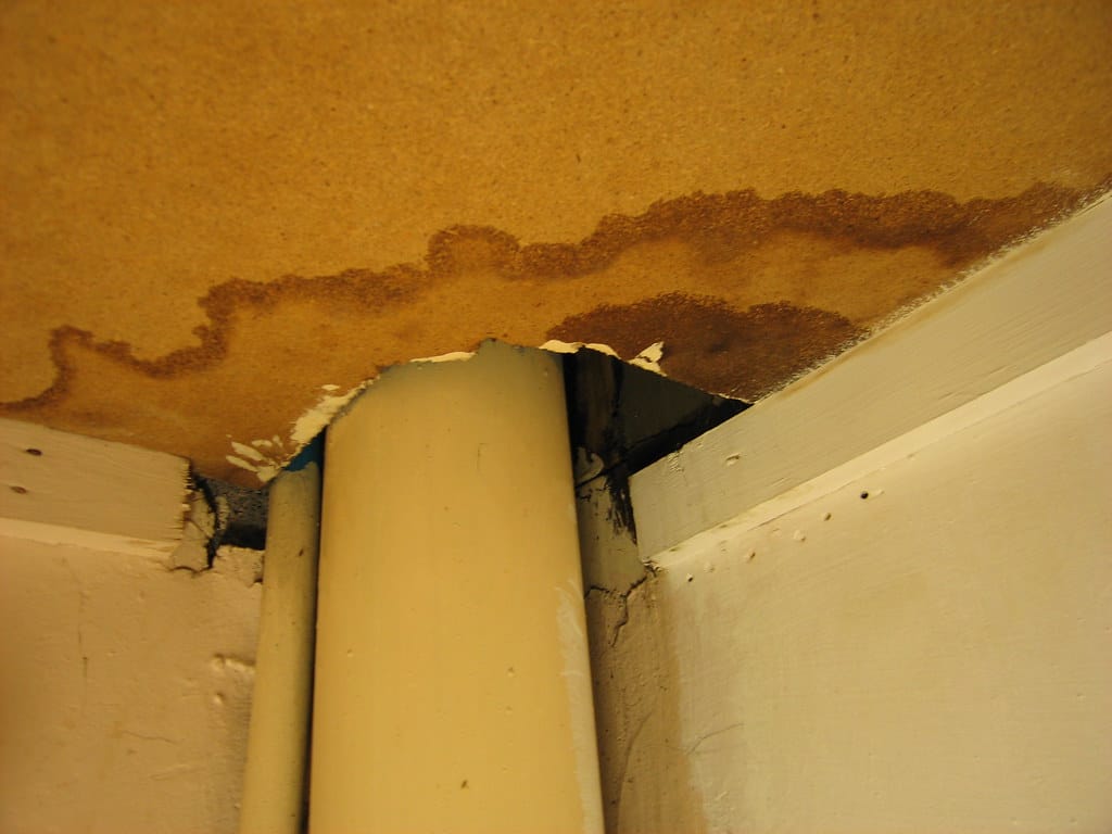 Brown water stain spreading across a ceiling above pipes